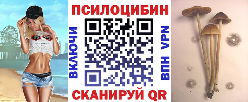 Галлюциногенные грибы Magic Shrooms купить закладку Судак